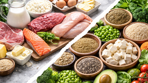 Protein Perspectives: Understanding Plant and Animal Proteins