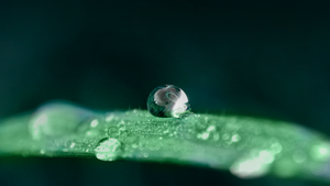 Understanding Bioavailability - Part 1 : External, Inborn & Health Related Factors